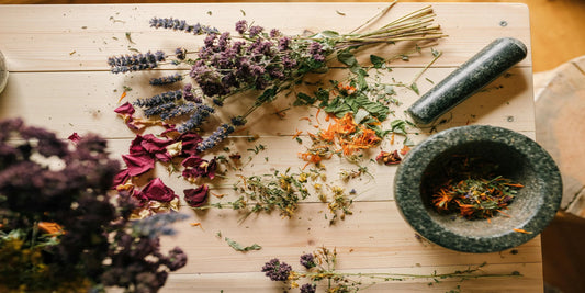 Ayurveda: The Ancient Science of Natural Healing & Wellness