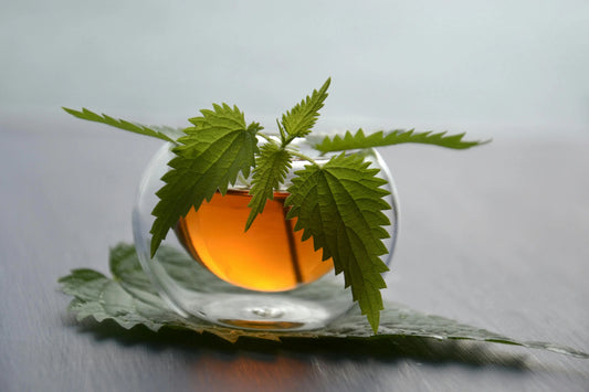 Summer Care the Ayurvedic Way: Stay Fresh, Hydrated & Balanced