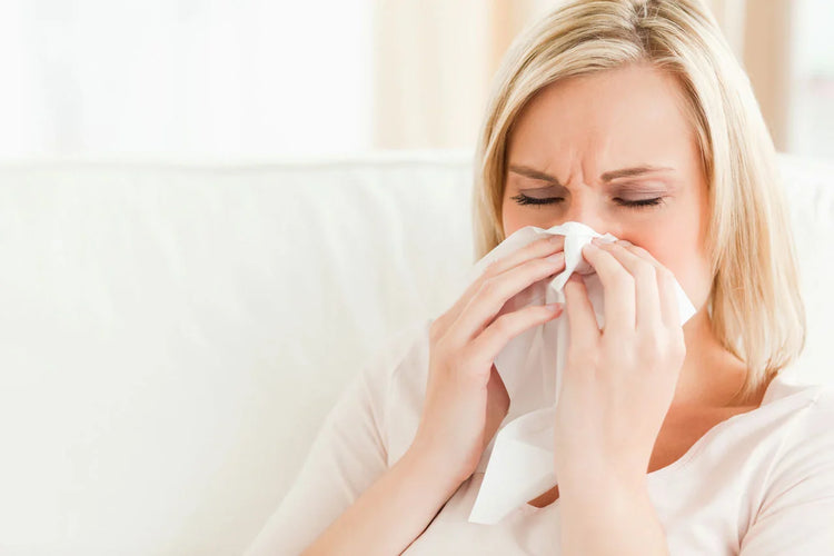 Anti Allergy