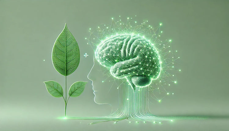 Brain Tonic