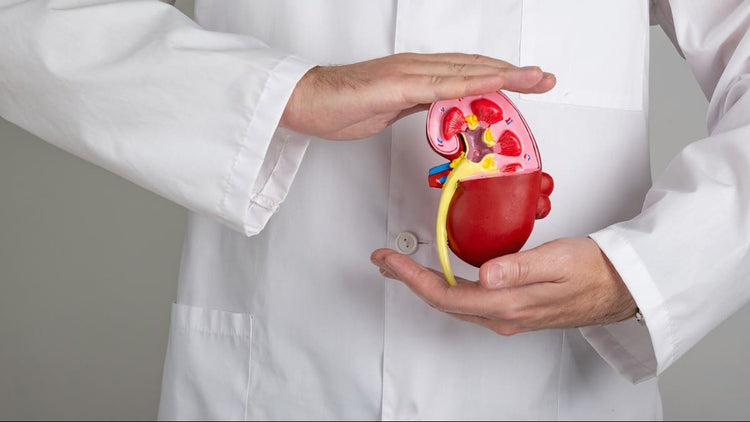 Kidney Care
