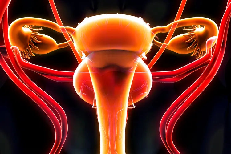 Menopause