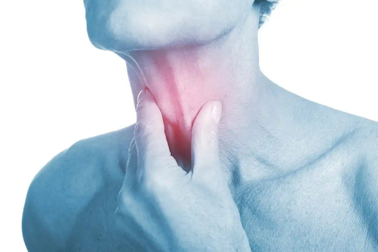 Thyroid
