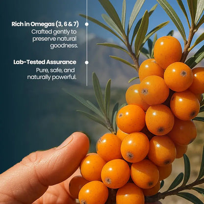 Krishna's Seabuckthorn Juice