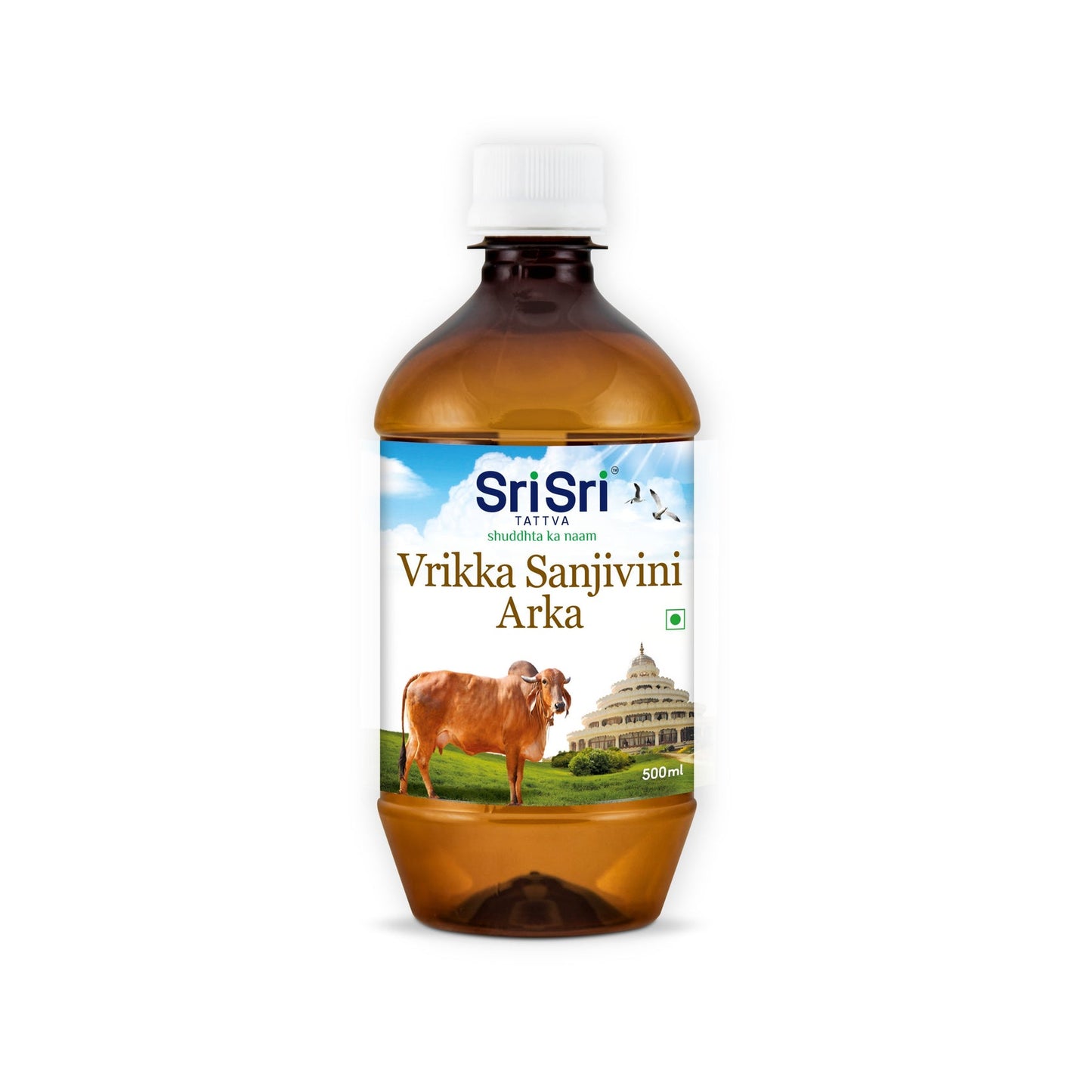 Vrikka Sanjivini Arka